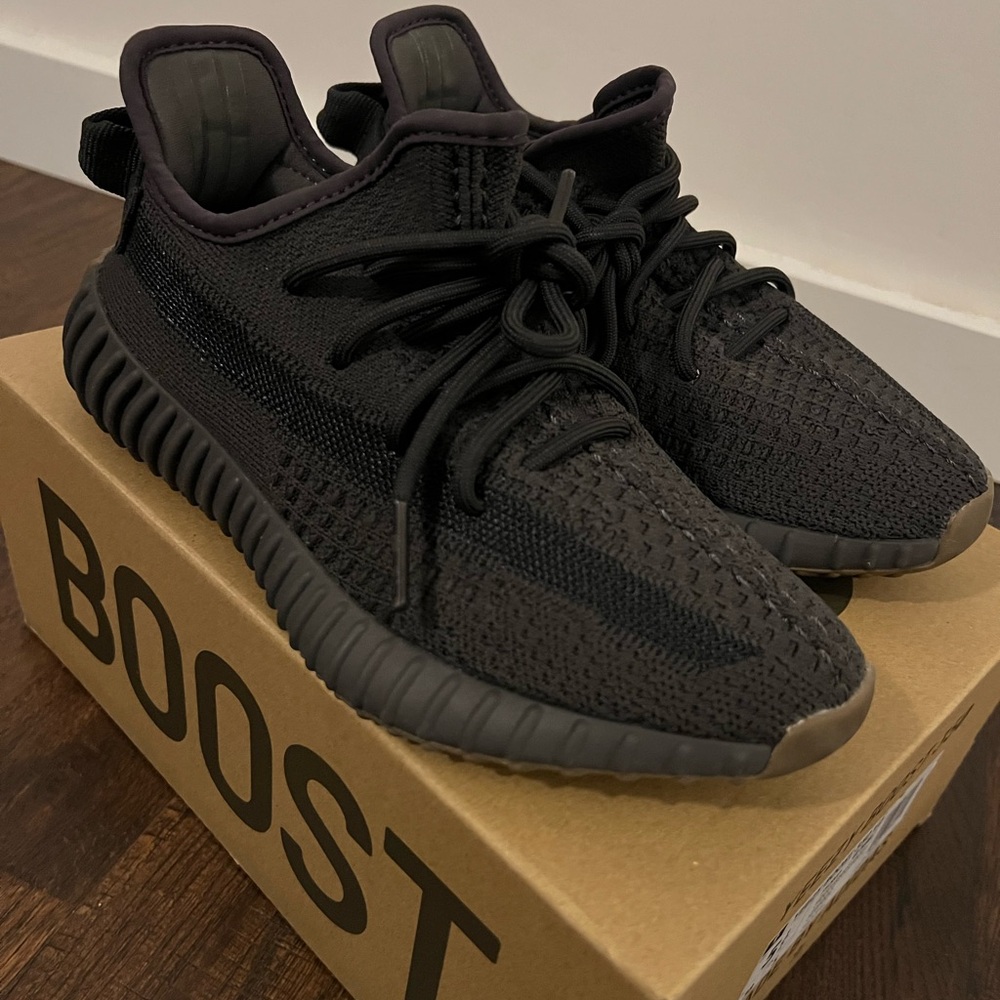 Yeezy Boost 350 - Cinder